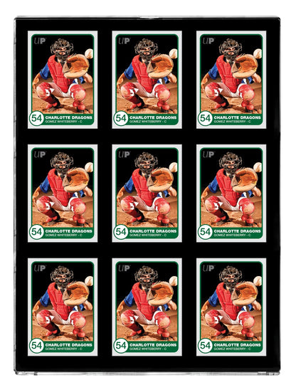 Ultra PRO Black Border ONE Touch 9 Graded Card Display Case Show Off Protect 3