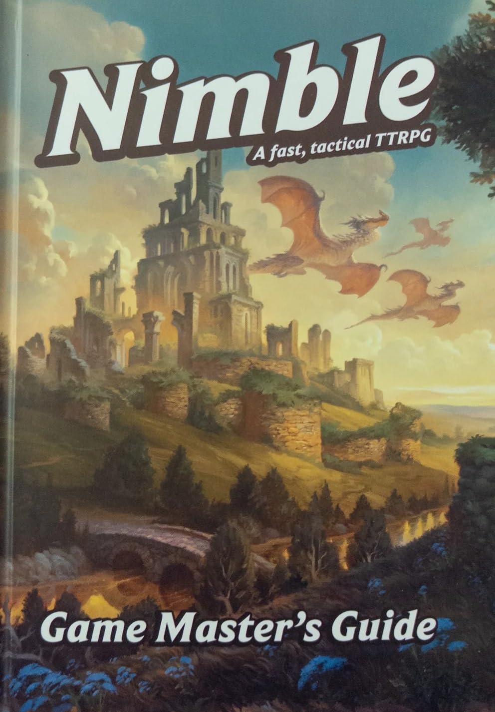 Gms Guide Roleplaying Game by Nimble Co 1