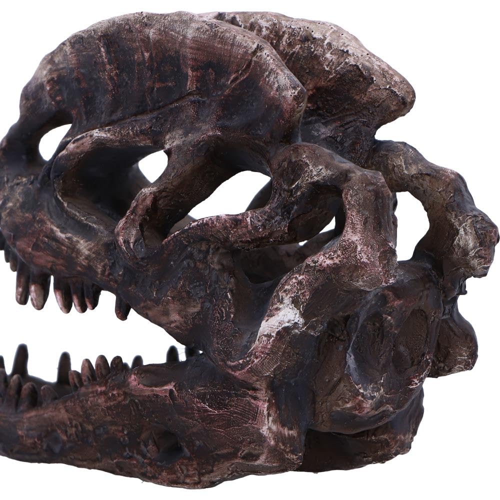 Dilophosaurus Skull Resin Replica 16cm 6