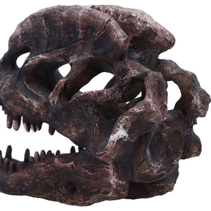Dilophosaurus Skull Resin Replica 16cm 6