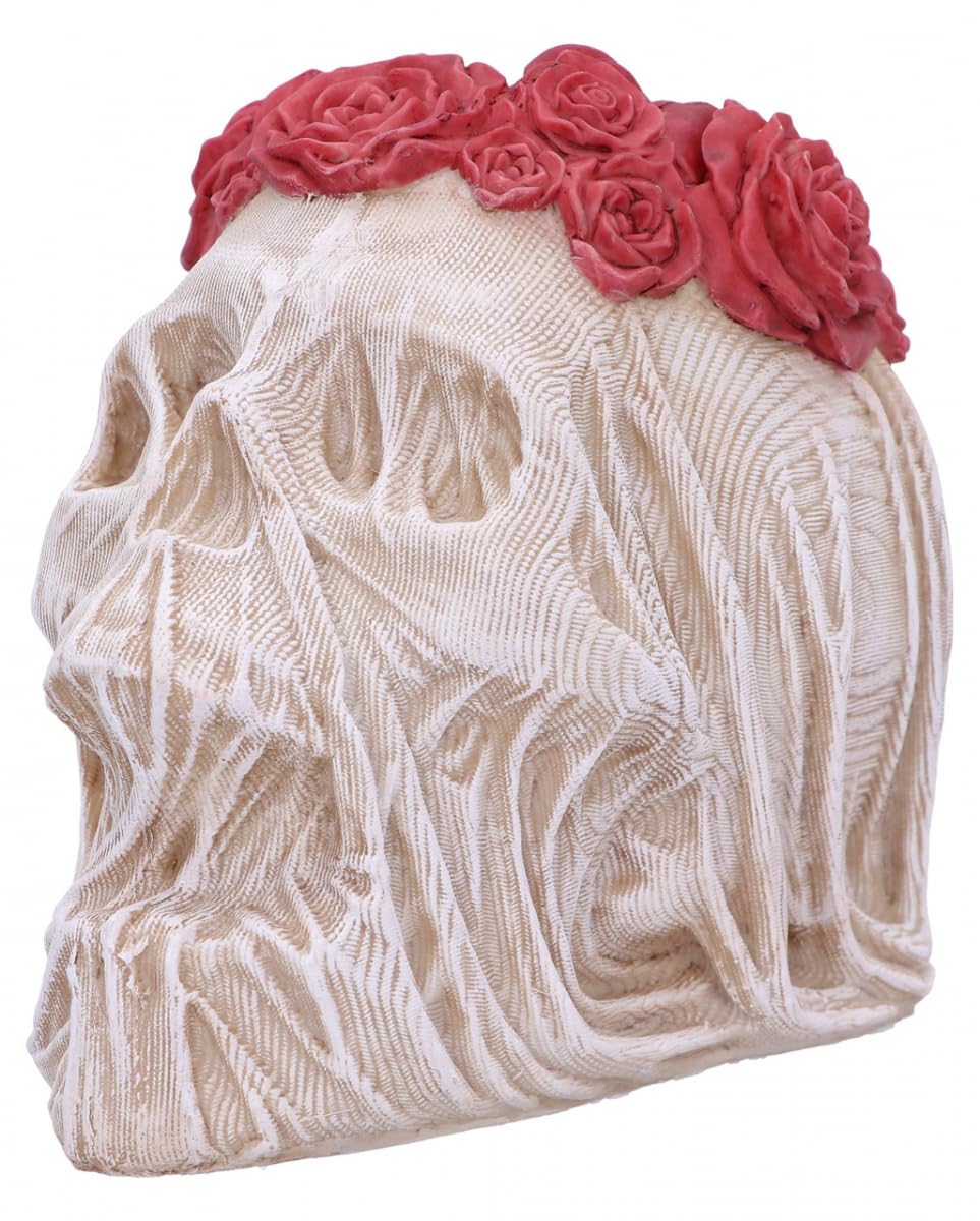 The Veil Skull Large 14.7cm 5