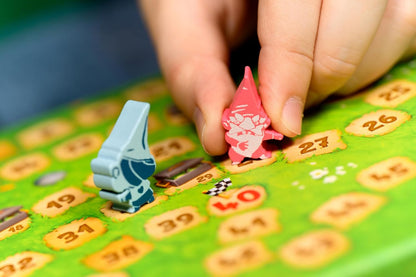 Garden Rush Board Game