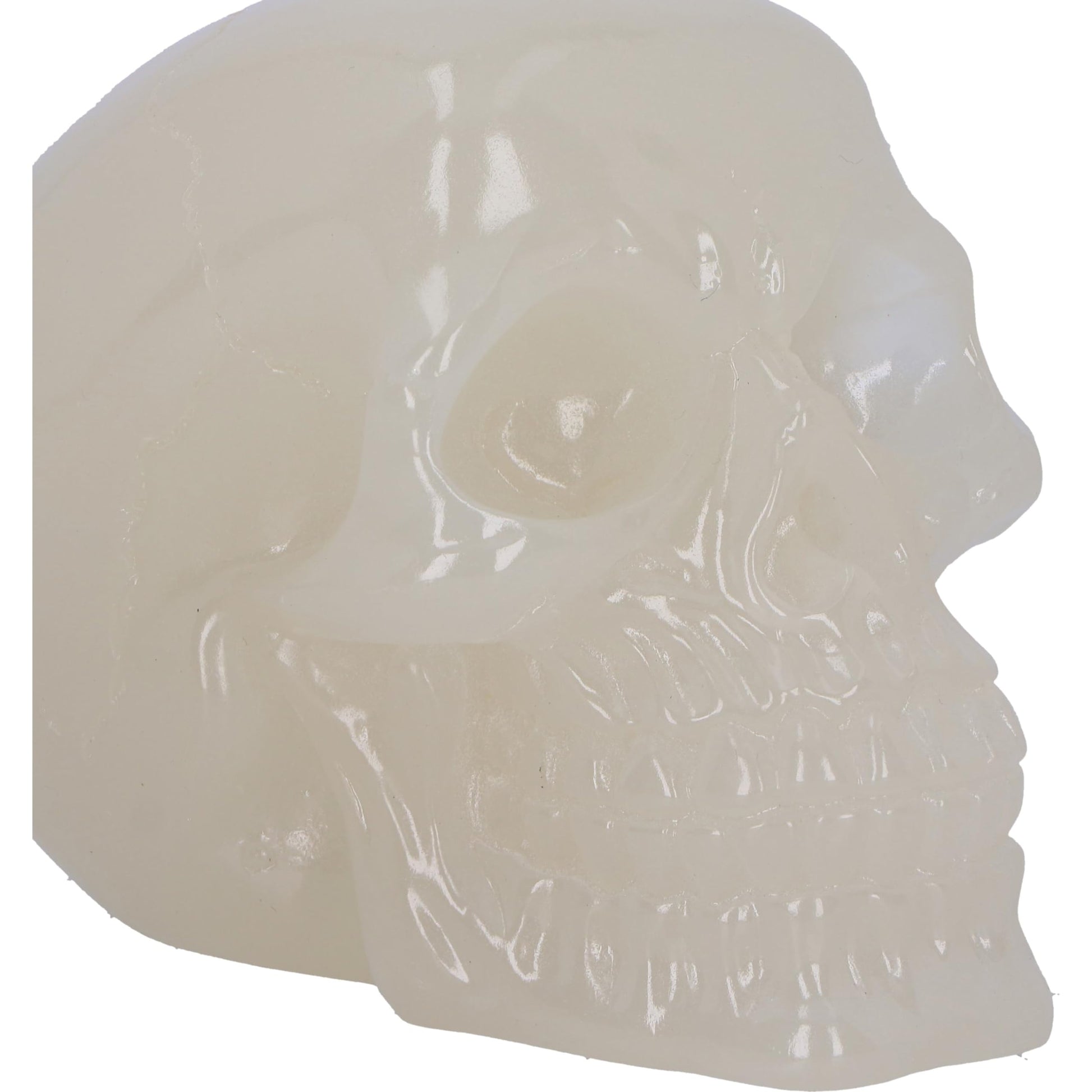 Phosphorescent Skull Head 10.5cm Small 3