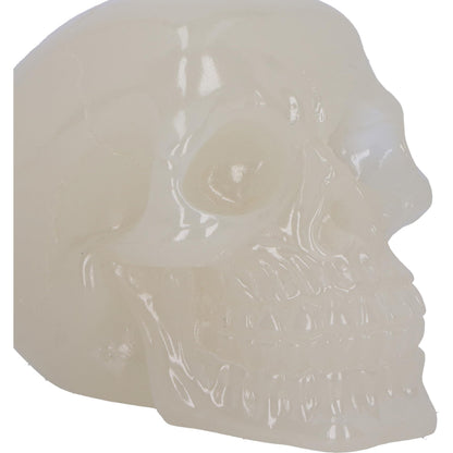 Phosphorescent Skull Head 10.5cm Small 3