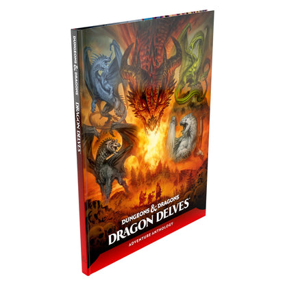 Dragon Delves Dungeons and Dragons DDN Roleplaying Game by Wizards of the Coast 5