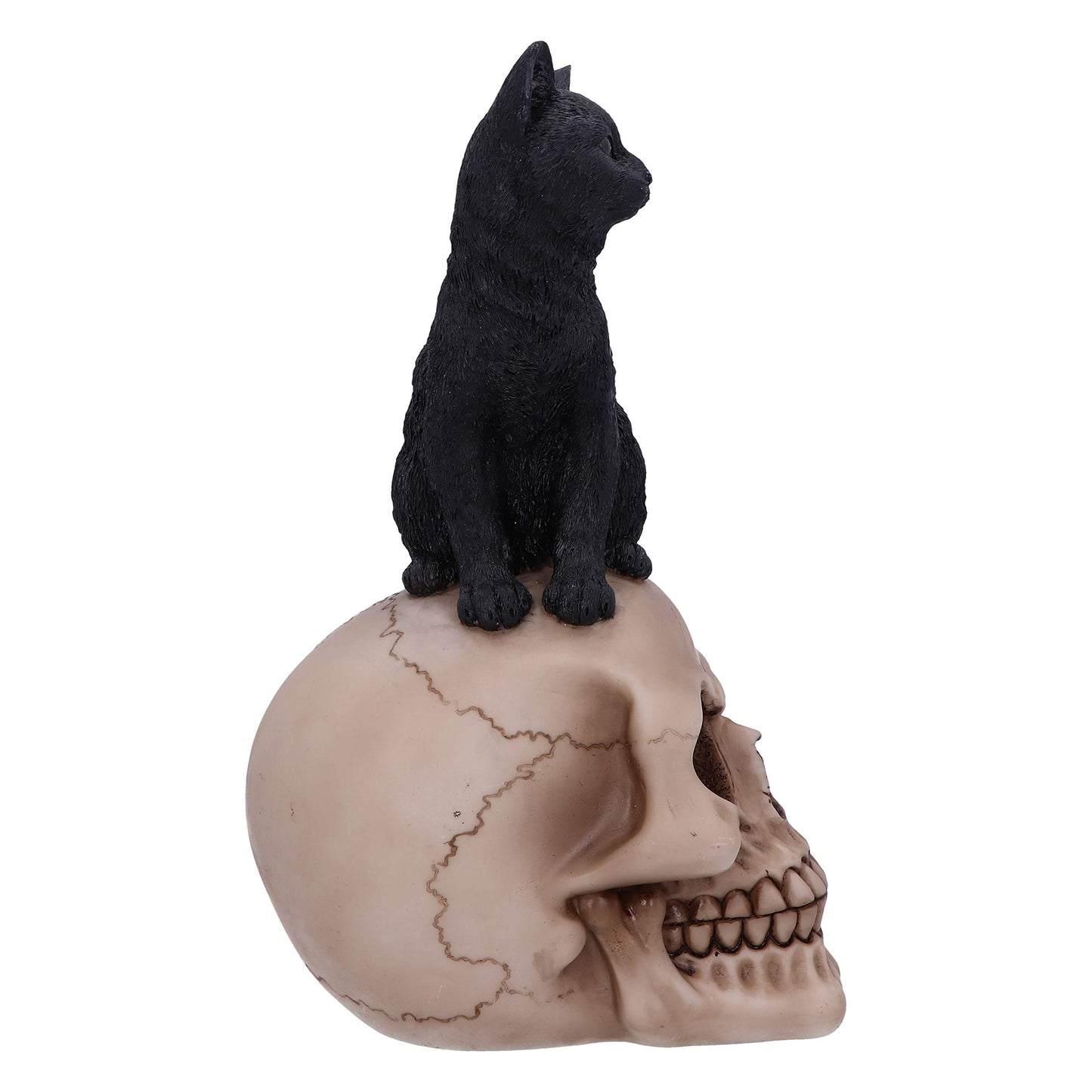 Familiar Fate Black Witches Cat and Skull Figurine 24.3cm 5