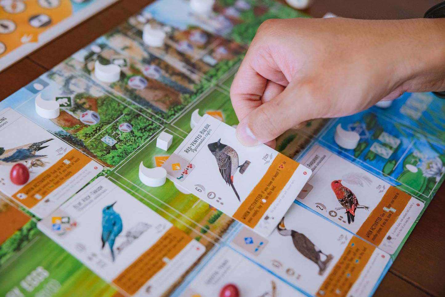 Wingspan Asia Board Game Standalone Expansion from Stonemaier 8