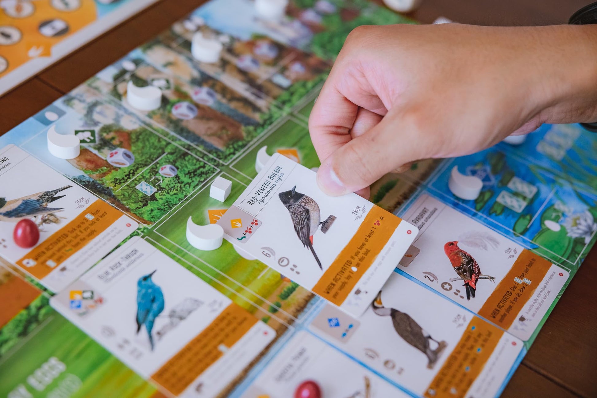 Wingspan Asia Board Game Standalone Expansion from Stonemaier 8