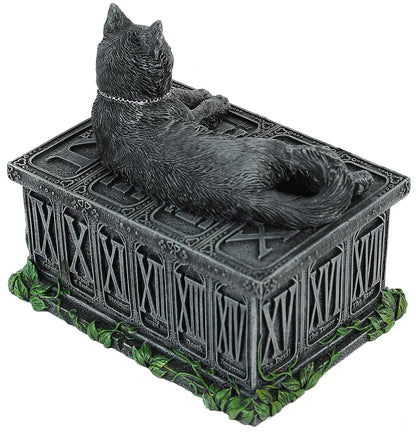 Fortunes Watcher Cat Familiar Tarot Box Fortunes 17cm 5