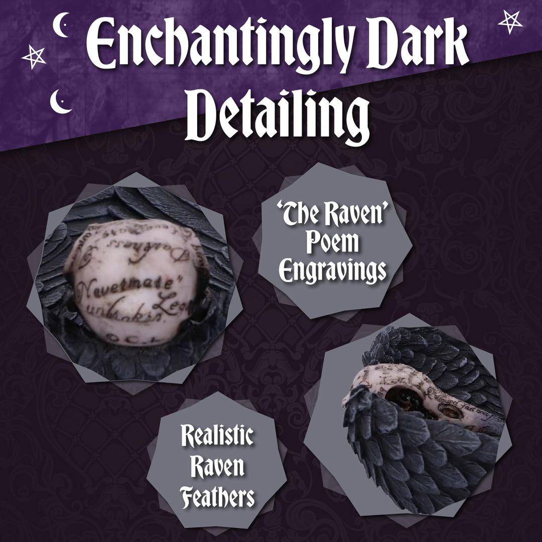 Edgar Allen Poes Nevermore Raven Skull Trinket Holder Jewellery Dish Edgars 17cm
