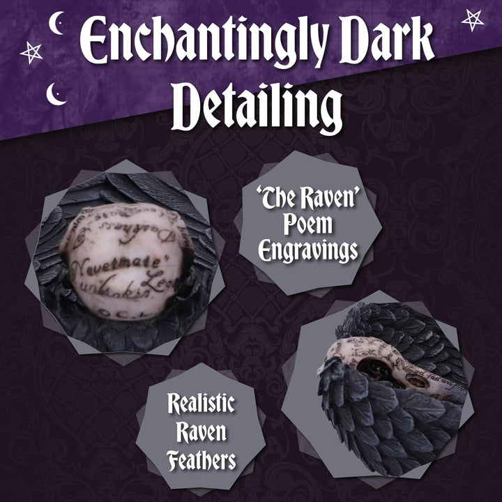 Edgar Allen Poes Nevermore Raven Skull Trinket Holder Jewellery Dish Edgars 17cm
