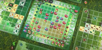 The Glade by R&D Games, Strategy Board Game 3