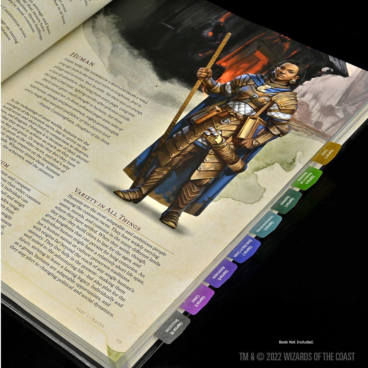 Dungeon Masters Guide D and D Book Tabs Gaming Accessory by Wiz Kids 10