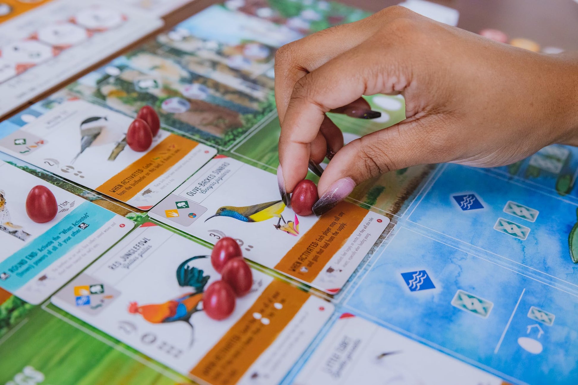 Wingspan Asia Board Game Standalone Expansion from Stonemaier 4