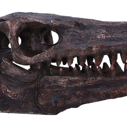 Archaeopteryx Skull Decorative Resin Replica 18cm 5