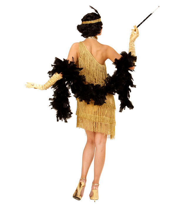 Flapper  Dress, Choker, Headband With Feather 