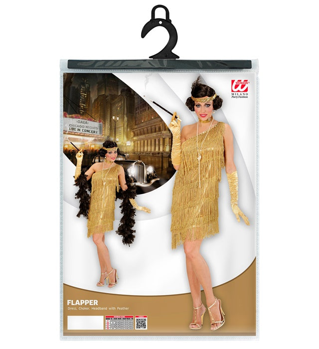 Flapper  Dress, Choker, Headband With Feather 