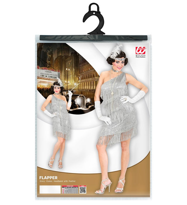 Flapper  Dress, Choker, Headband With Feather 