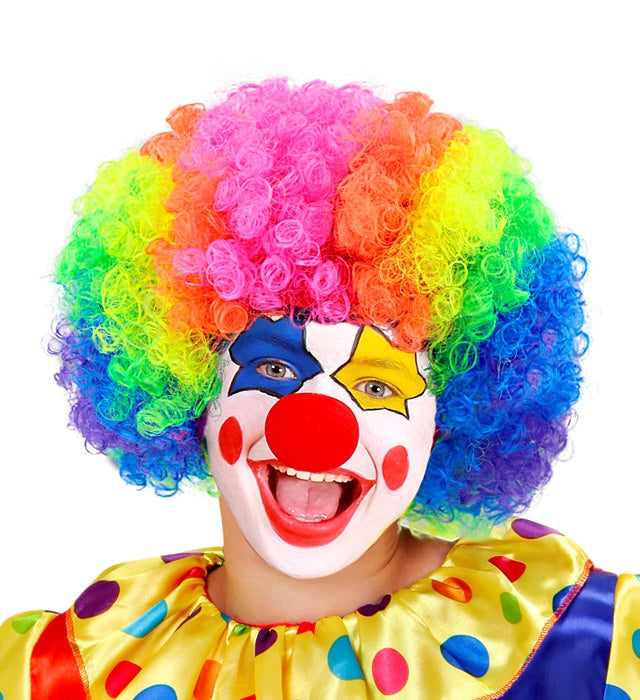 Clown Wig In Polybag