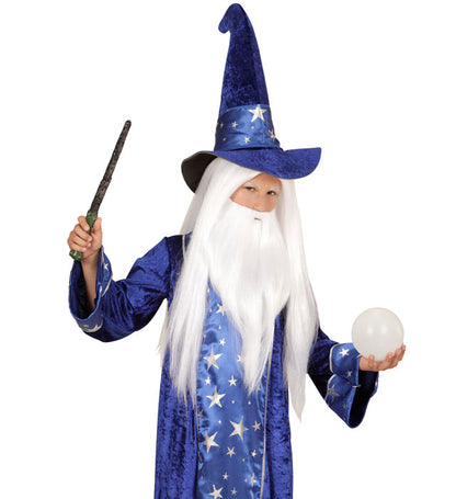 Wizard Wig With Beard In Box