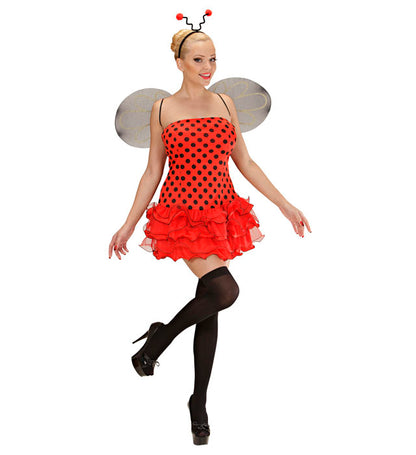 Ladybug  Dress, Wings, Antennas 