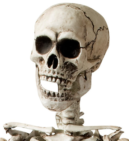 Skeleton Posable - 160 Cm