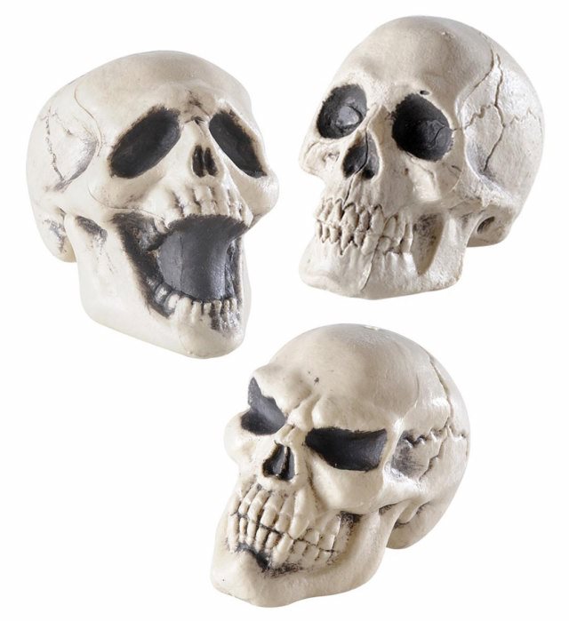 Skulls Display Box Of 12 - 3 Styles Ass. - 12 Cm