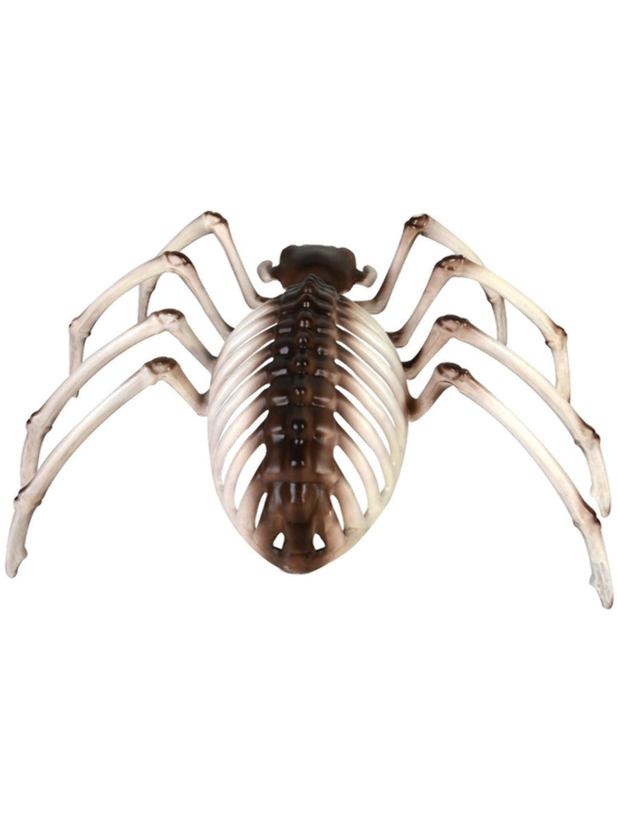 Spider Skeleton Prop Halloween Decoration 2