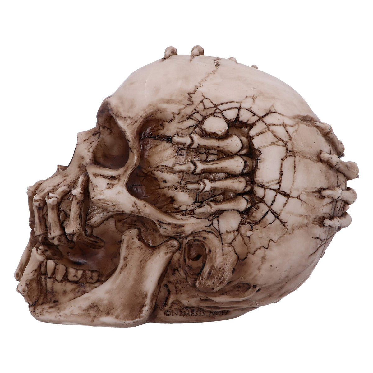 Breaking Out Skull Skeleton Ornament 20cm 4