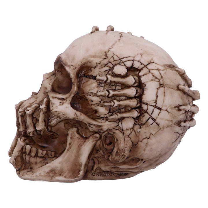 Breaking Out Skull Skeleton Ornament 20cm
