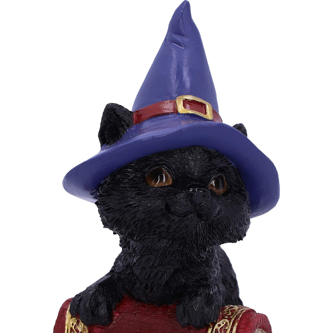 Hocus Small Witches Familiar Black Cat and Spellbook Figurine 12.7cm