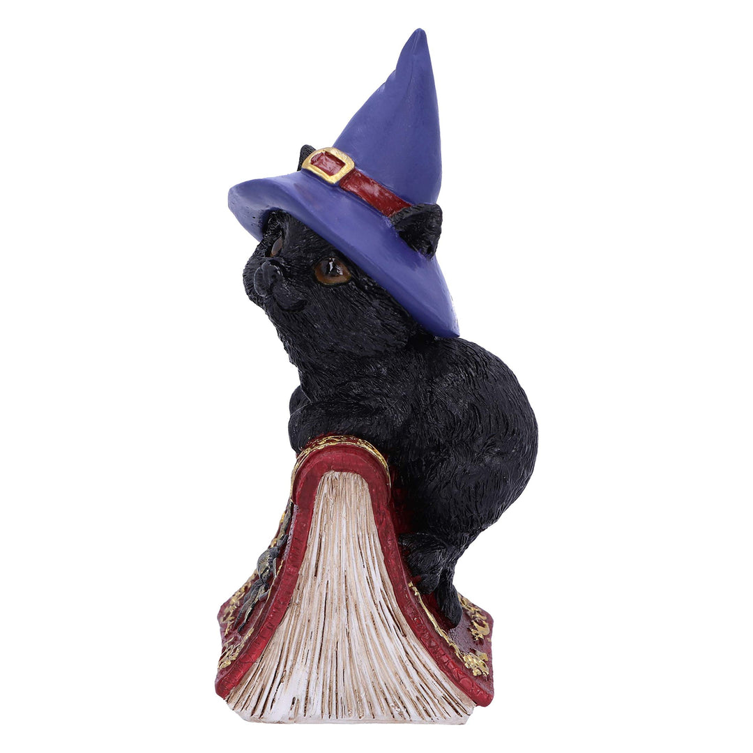Hocus Small Witches Familiar Black Cat and Spellbook Figurine 12.7cm