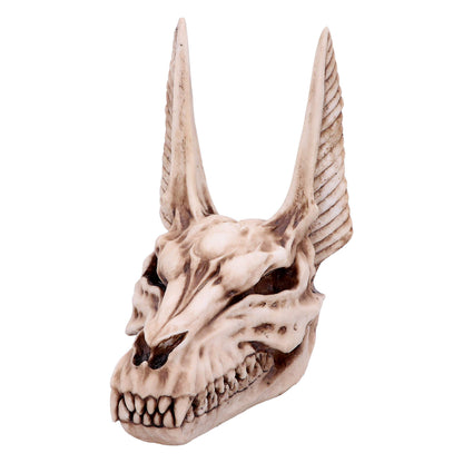 Anubis Egyptian God of the Dead Skull Ornament 17cm 5