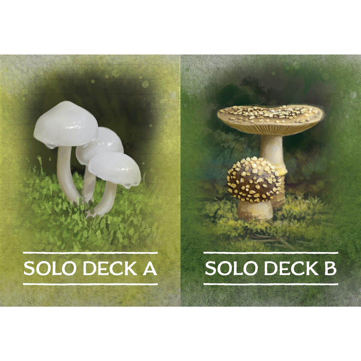 Undergrove Board Game by Alderac Entertainment Group 8
