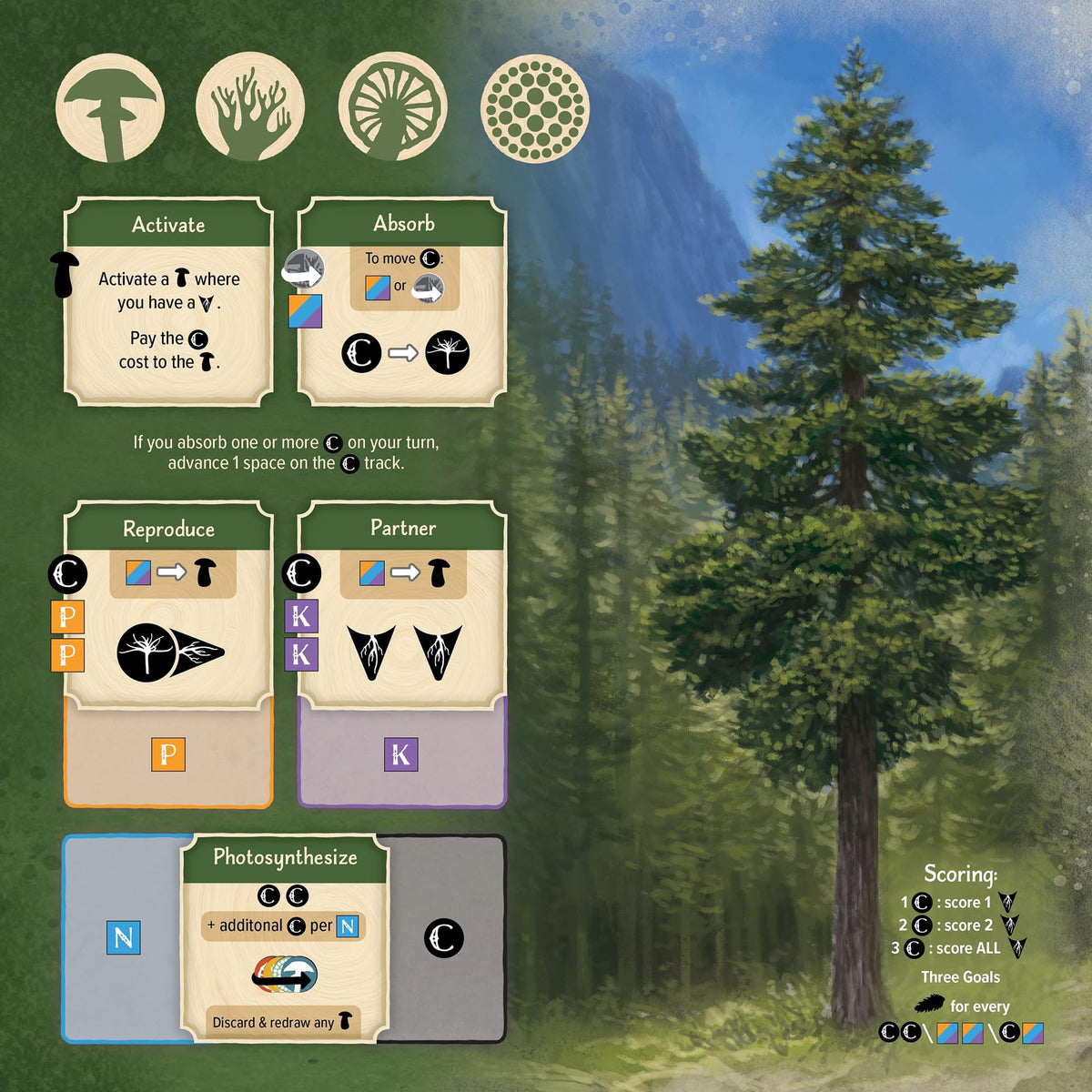 Undergrove Board Game by Alderac Entertainment Group 4