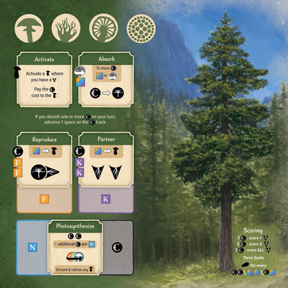 Undergrove Board Game by Alderac Entertainment Group 4