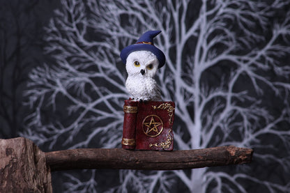 Avian Spell Owl Figurine Red 12.5cm 8