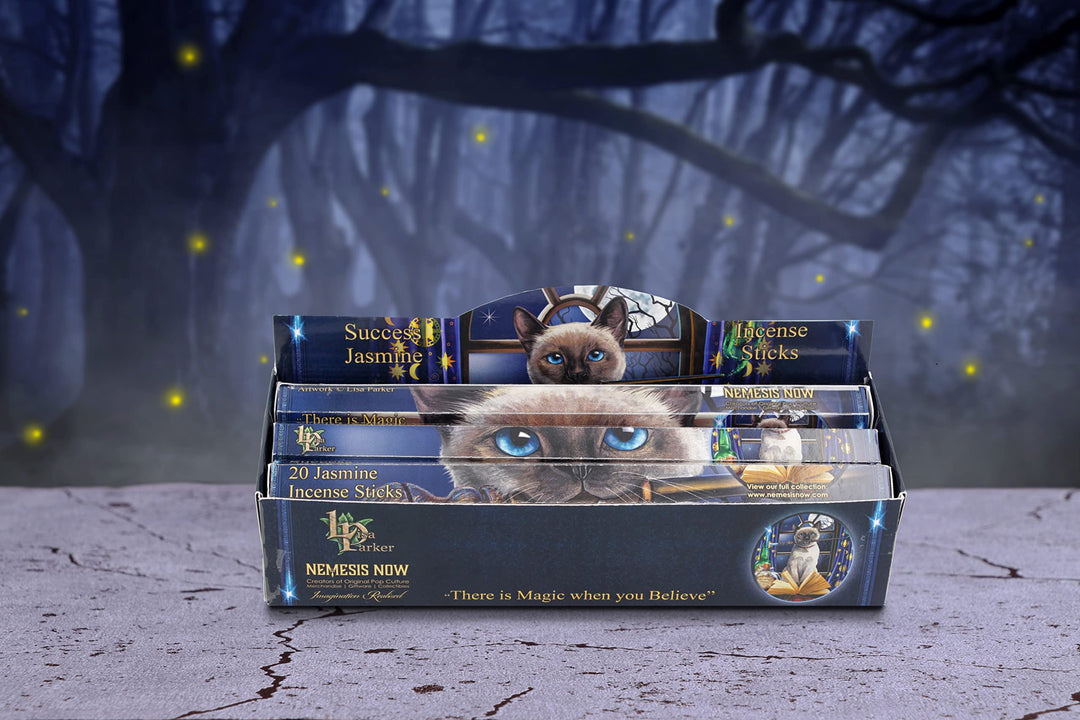 Lisa Parker Jasmine Scented Success Incense Sticks LP