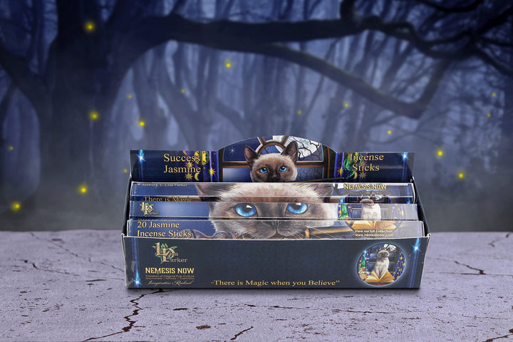 Lisa Parker Jasmine Scented Success Incense Sticks LP