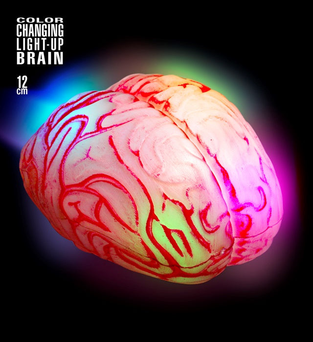 Cervello Luminoso Cambia Colore