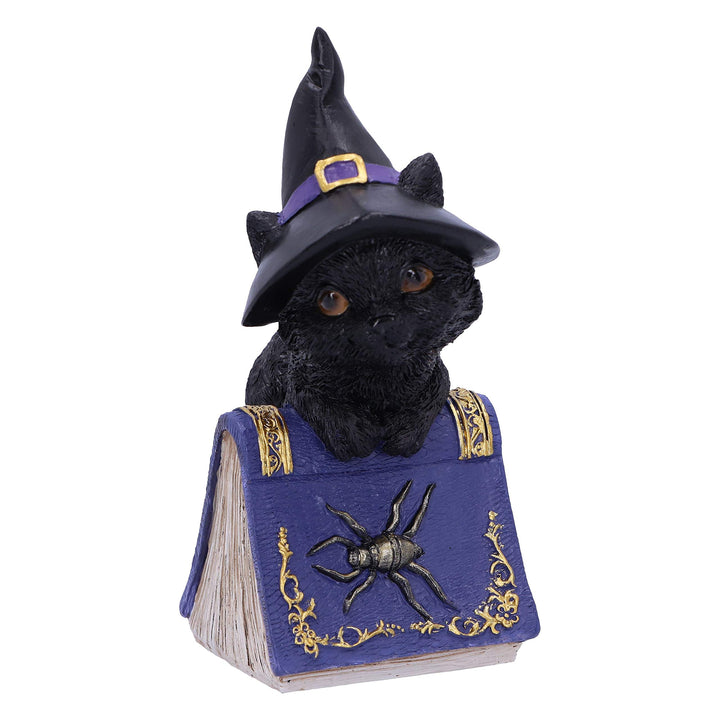 Pocus Small Witches Familiar Black Cat and Spellbook Figurine 12.7cm