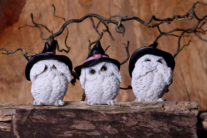 Three Wise Feathered Familiars 9cm