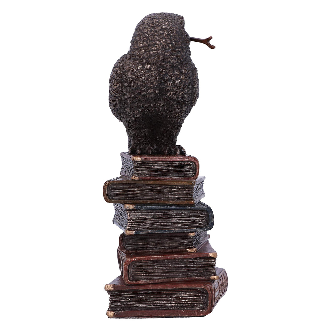 Bronze Spellcraft Witches Familiar Owl on Book Figurine 14cm