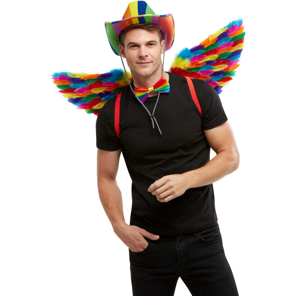 Rainbow Feather Wings Multi Coloured Adult 80cm Costume Accessory 1