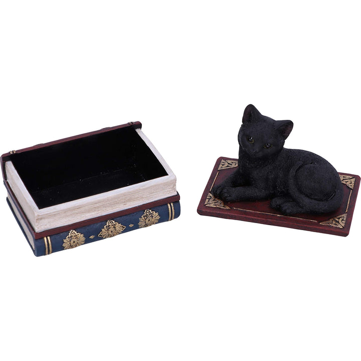 Salems Spells Witches Familiar Black Cat and Spellbook Box 11.7cm