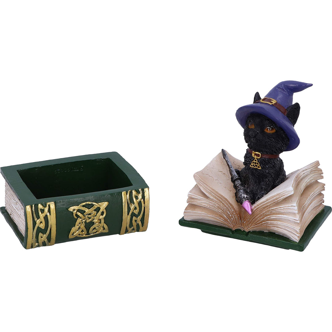 Binx Small Witches Familiar Black Cat and Spellbook Figurine Box 11cm