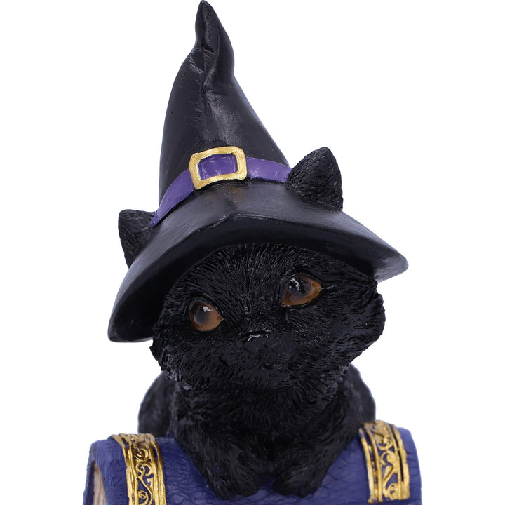 Pocus Small Witches Familiar Black Cat and Spellbook Figurine 12.7cm