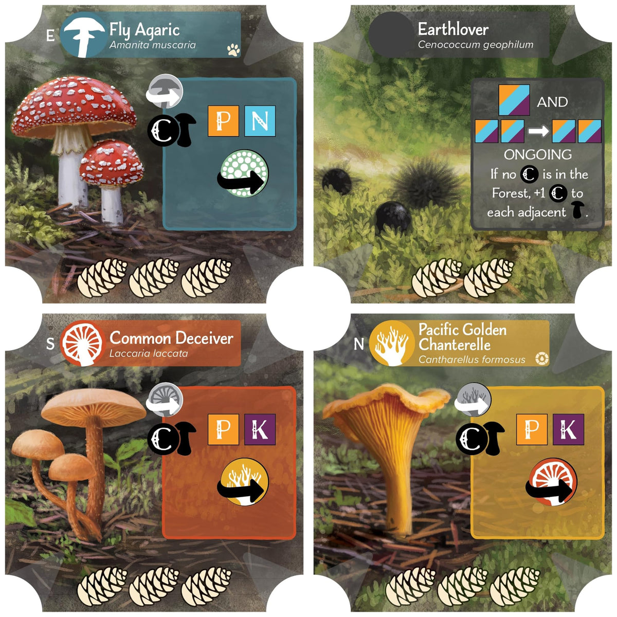Undergrove Board Game by Alderac Entertainment Group 6