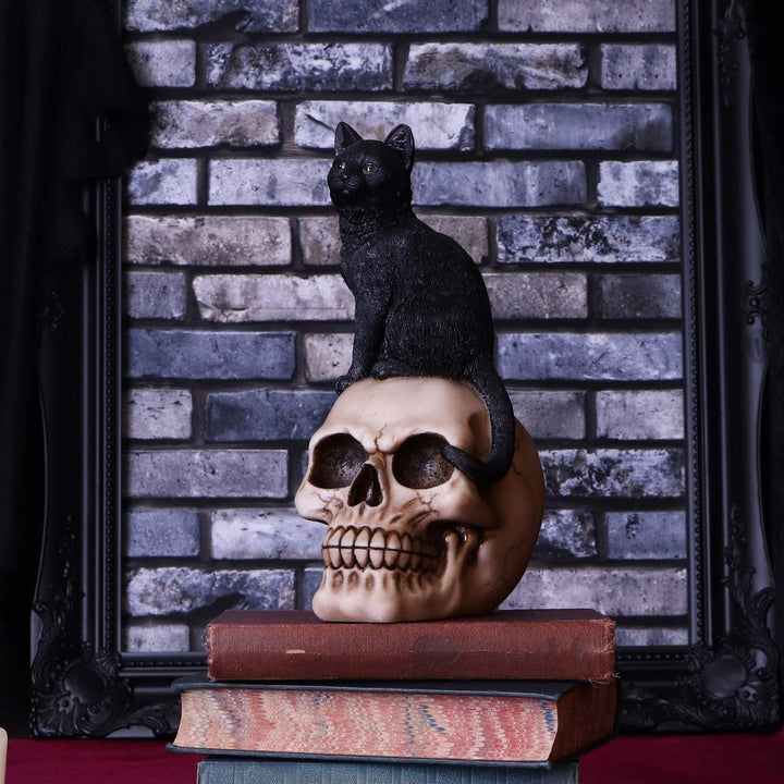 Familiar Fate Black Witches Cat and Skull Figurine 24.3cm