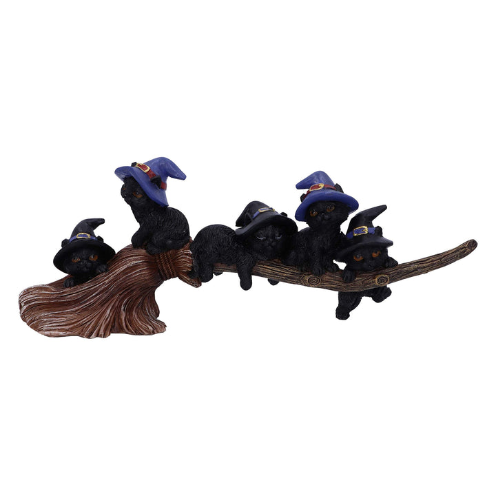 Purrfect Broomstick Witches Familiar Black Cats and Figurine 27.5cm